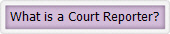 What is a Court Reporter?